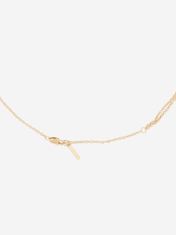 Calvin Klein Ketting in Goud