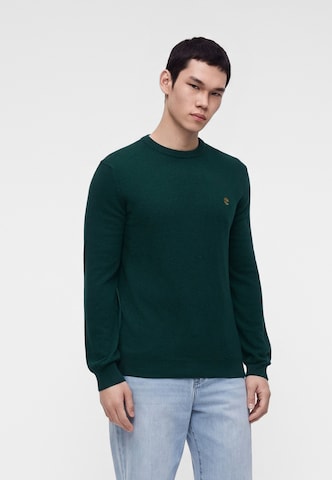 Pullover 'COHAS BROOK' di TIMBERLAND in verde: frontale