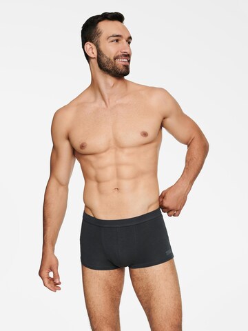 Henderson Boxershorts 'State' in Grijs