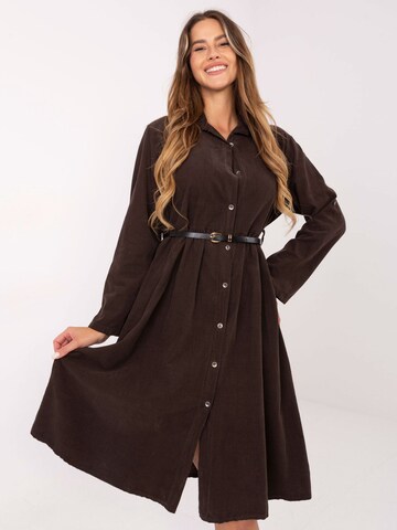 Madnezz House Dress in Brown: front
