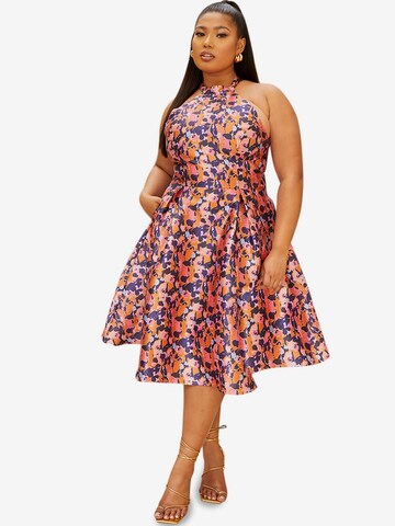 Chi Chi Curve Dress in Mixed colours