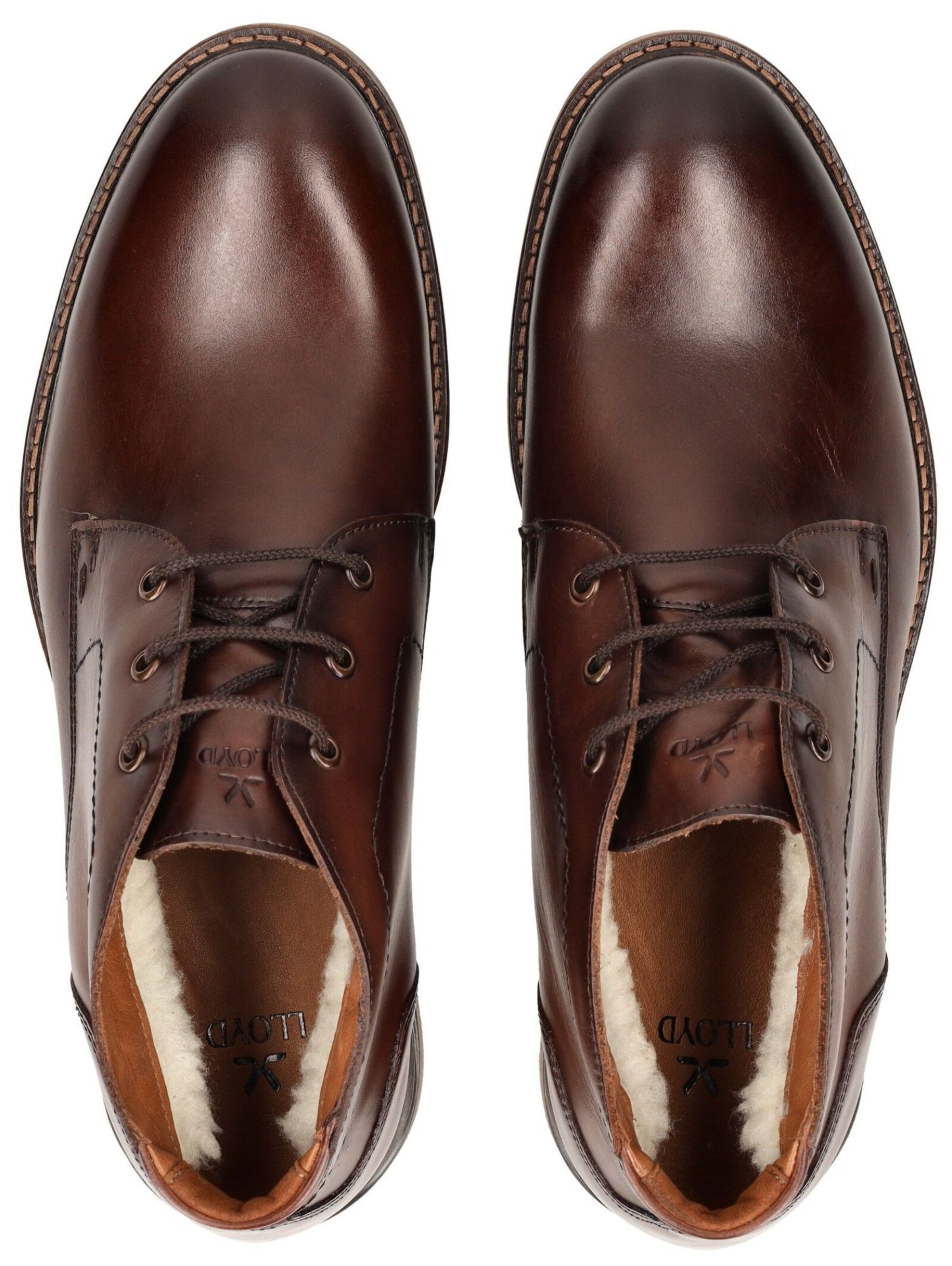 Chaussure à lacets LLOYD SELECTED en marron