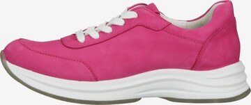 Paul Green Sneaker in Pink