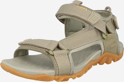 CAMEL ACTIVE Sandales de randonnée en taupe, Vue avec produit