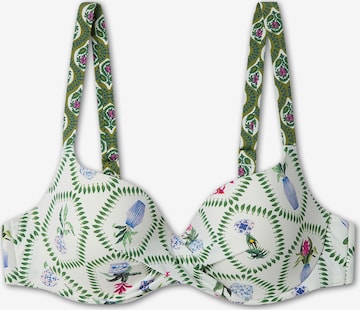 Gisela Balconette Bikinitoppi värissä vihreä: etupuoli