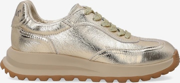 VENEZIA Sneaker low 'Venezia' in Gold: Vorderseite
