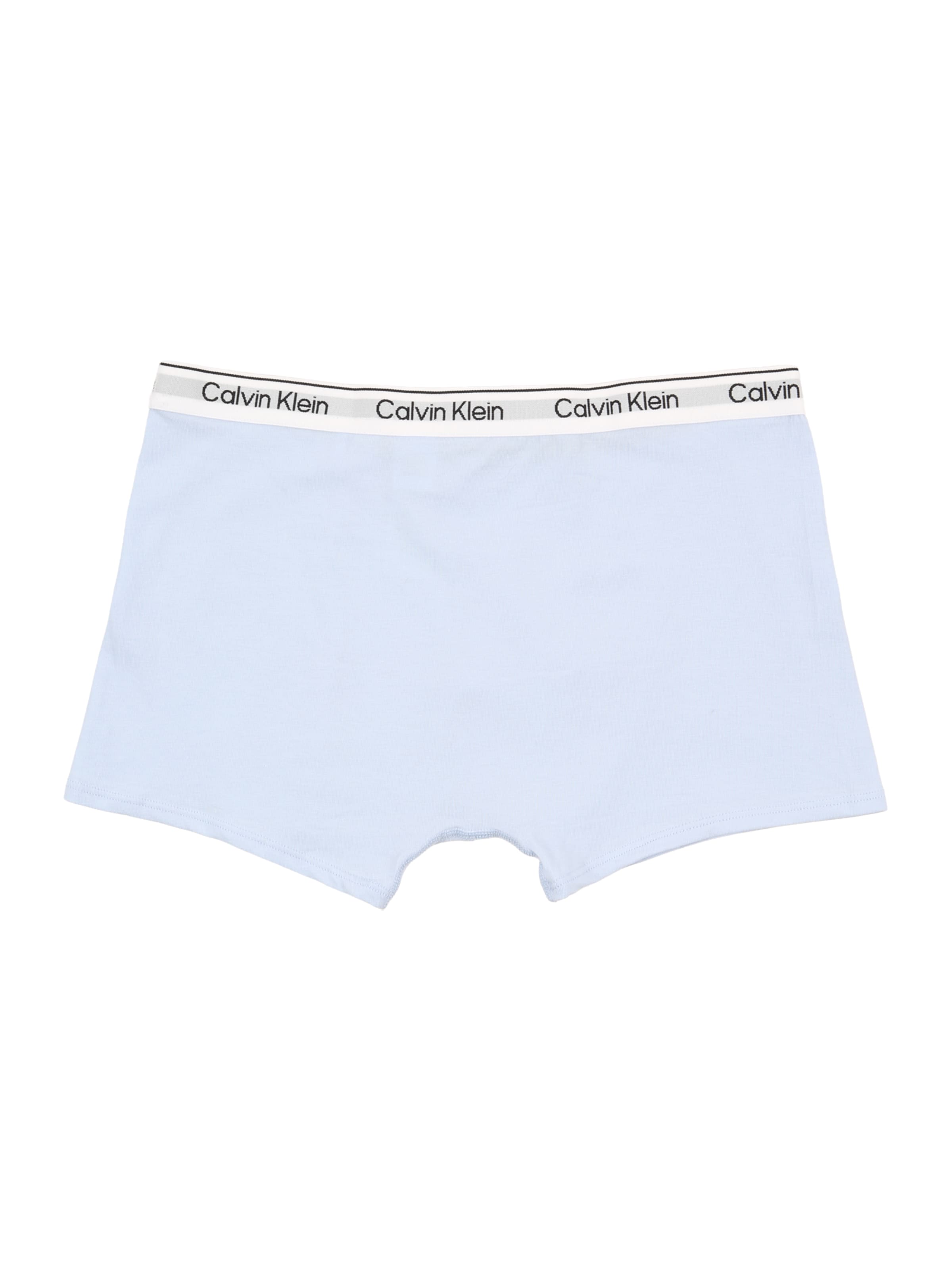 Calvin Klein Underwear Boxershorts in Blau