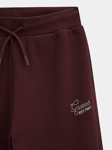 GUESS Wide leg Pants in Brown