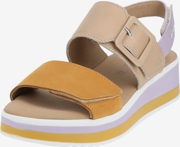 Sandalo di IGI&CO in marrone: frontale