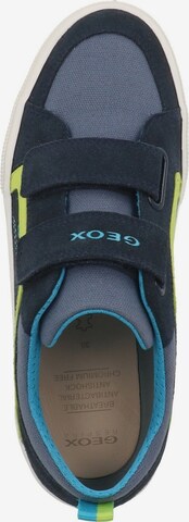 GEOX Sneakers in Blue