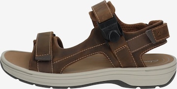 CLARKS Sandals in Brown