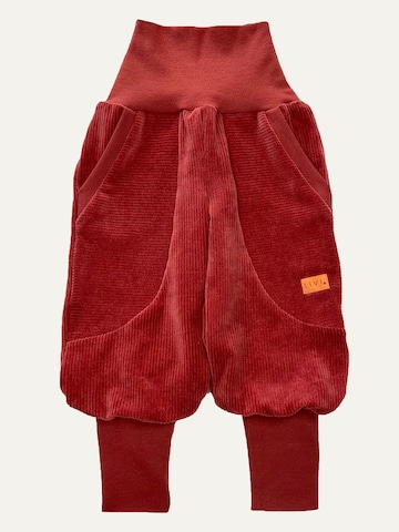 LiVi BERLIN Baggy Hose 'NICKYCORD'‌‌‌‌‌ in Rot: Vorderseite