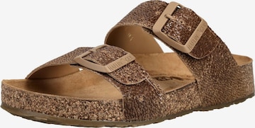 HAFLINGER Mule in Brown: front