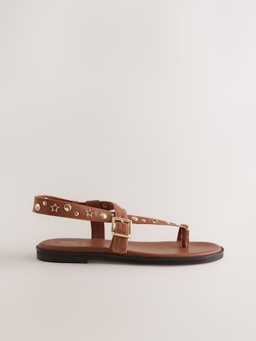 Flip-flops de la Rockett St George pe maro