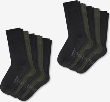 SCHIESSER Socks ' Daily Basic ' in Green: front