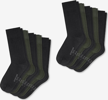 SCHIESSER Freizeitsocken ' Daily Basic ' in Grün: predná strana