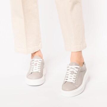 Apple of Eden Sneakers in Grey