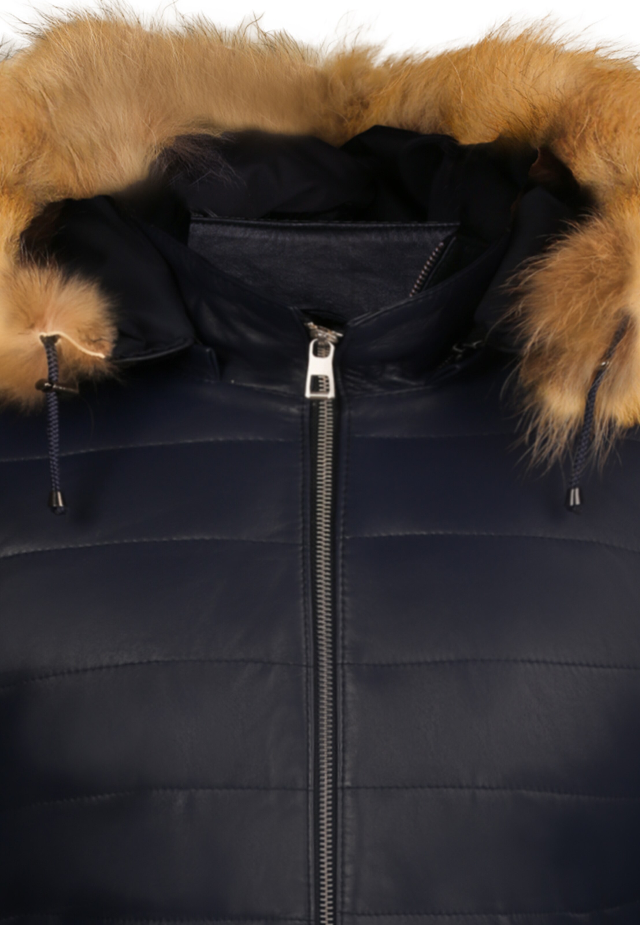 Geacă de primăvară-toamnă de la Felix Hardy pe albastru