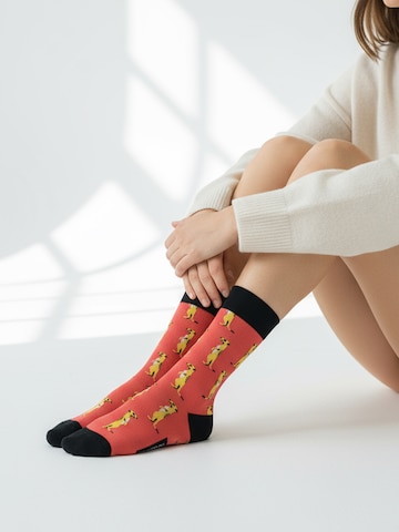 The Arctic Bay Socken 'JANGWA EDITION' in Mischfarben