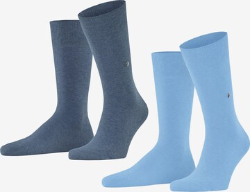 BURLINGTON Socks in Blue: front