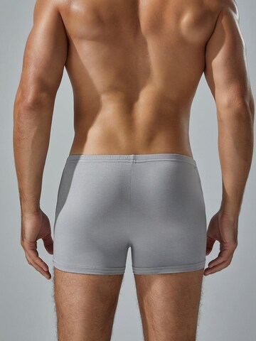 TAUWELL Boxer shorts in Grey