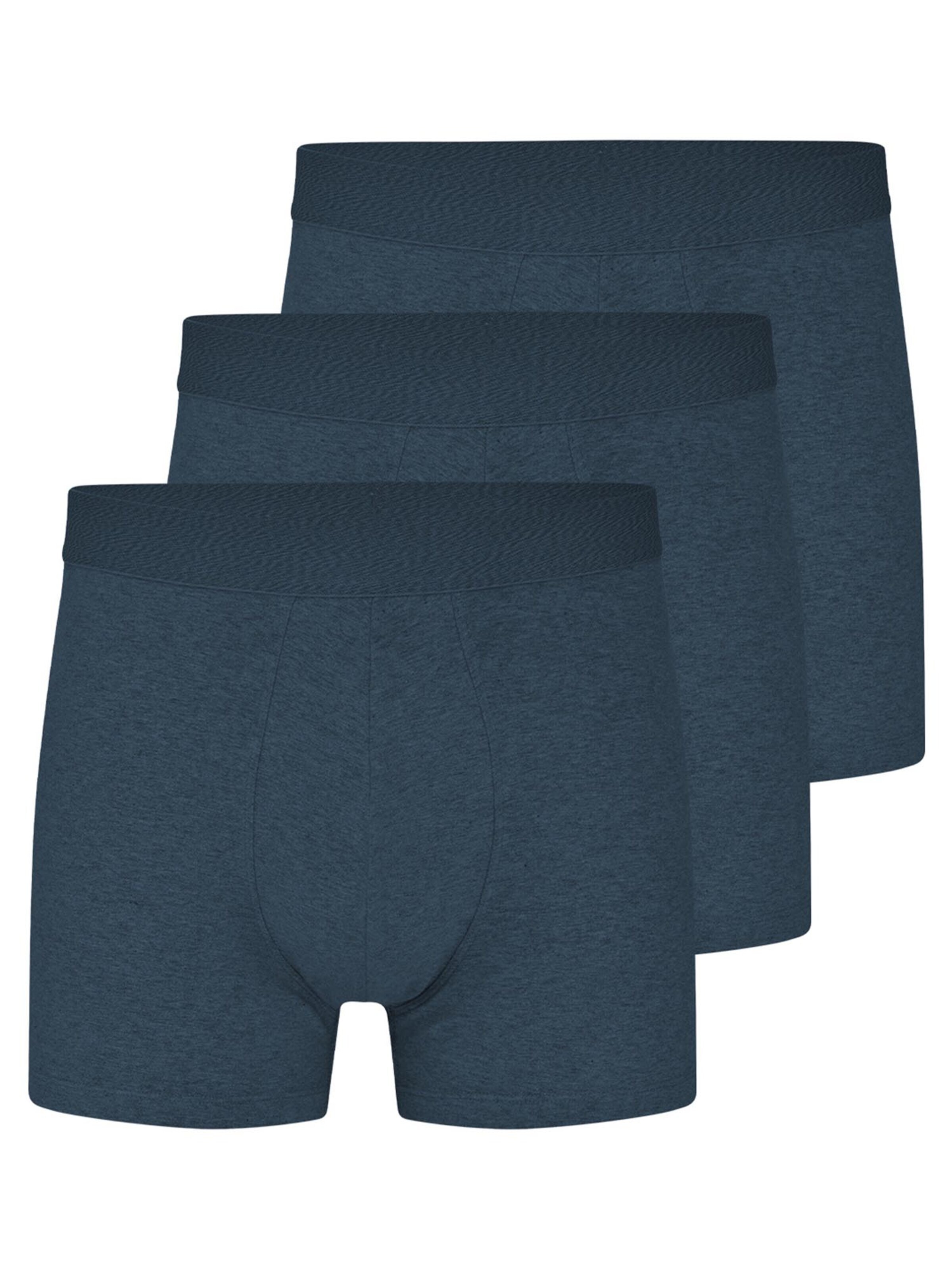 Almonu Boxer shorts 'Cotton - Melange' in Blue: front