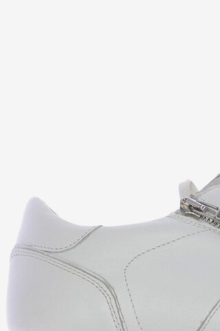 Kennel & Schmenger Sneaker 39,5 in Weiß