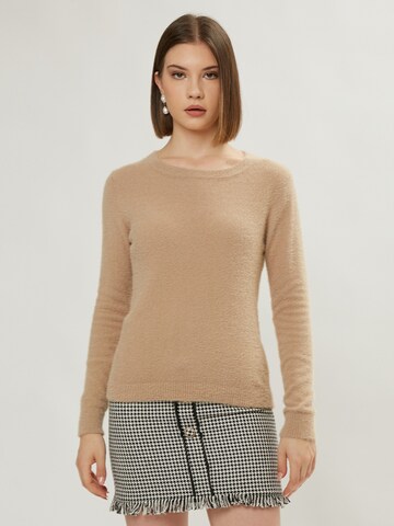 Influencer Pullover in Beige: predná strana