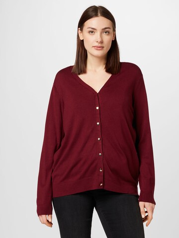 Dorothy Perkins Curve Knit cardigan in Red: front