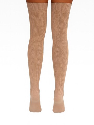 Lycille Over the Knee Socks 'Lycille' in Beige
