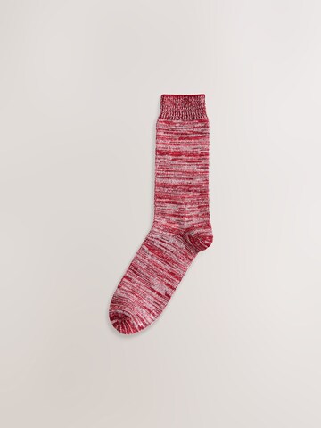 Next Socken in Mischfarben