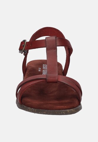 JOSEF SEIBEL Sandals in Red