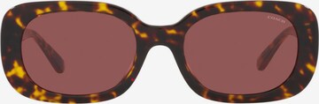 COACH Sunglasses in Mixed colors