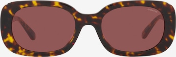 COACH Sunglasses in Mixed colours