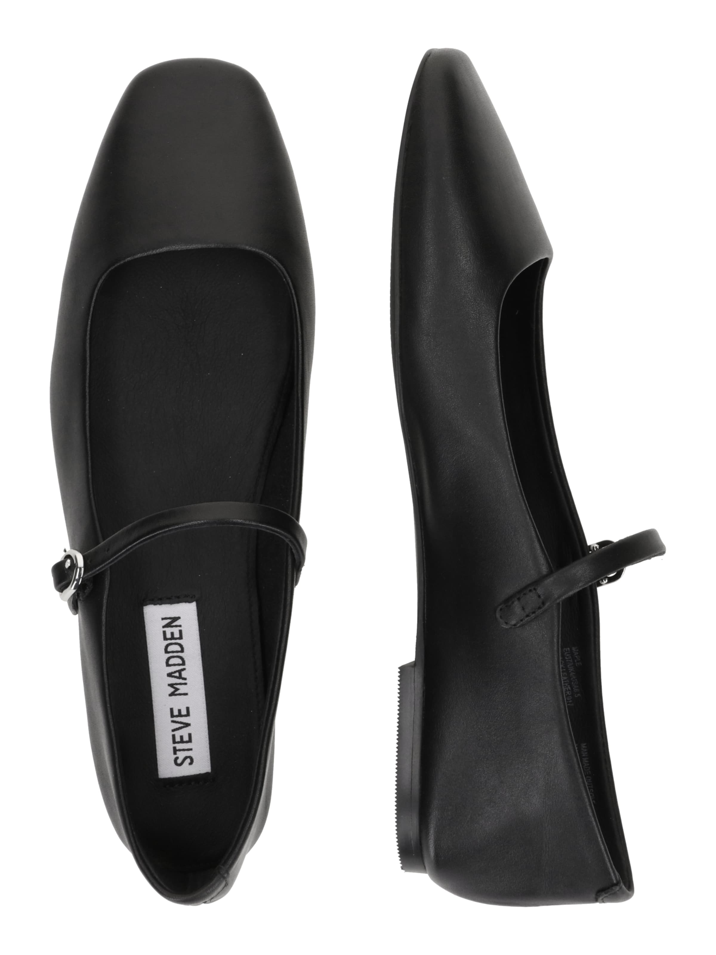 juoda STEVE MADDEN Balerinos su dirželiais 'Maple'