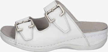 Westland Mules ' Cholet' in White: front