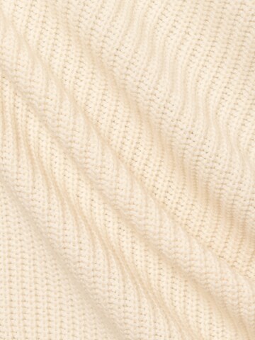 Nils Sundström Sweater in Beige