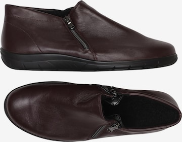 SEMLER Stiefelette 44 in Braun: Vorderseite