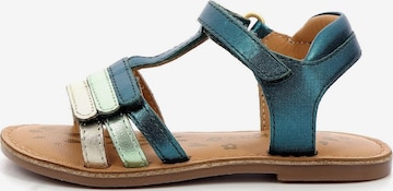 Kickers Sandalen in Groen