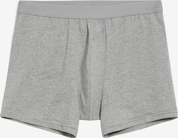 ARMEDANGELS Boxer shorts 'Ricaard' in Grey: front