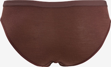 ICEBREAKER Athletic Underwear 'Siren' in Brown