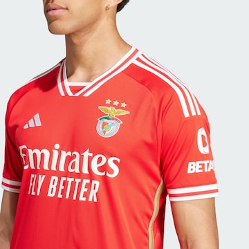 Maillot 'Benfica Lissabon 23/24' ADIDAS PERFORMANCE en rouge