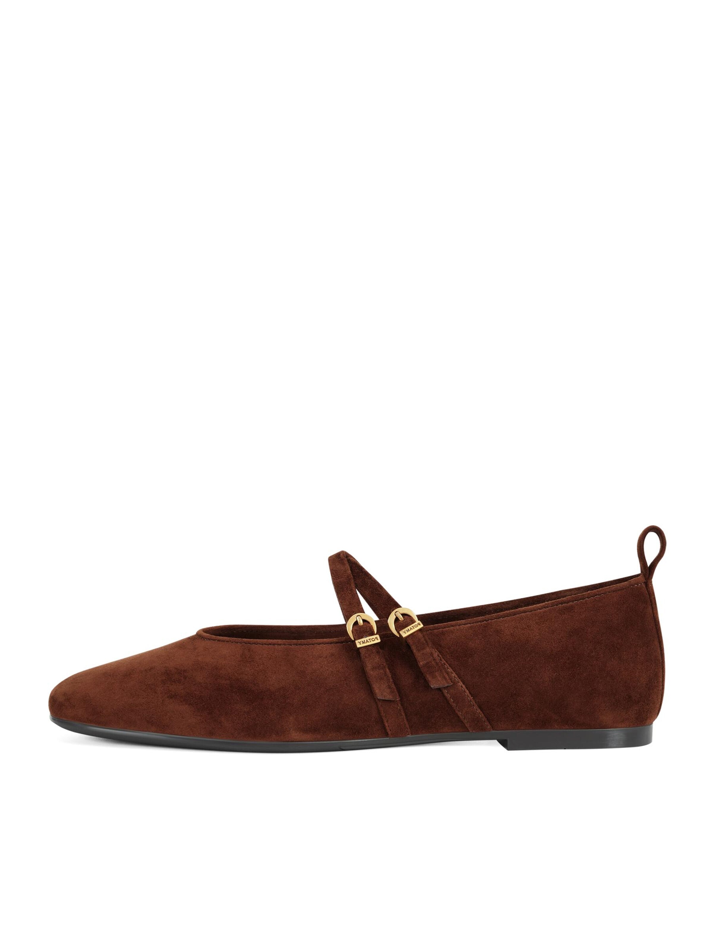 Potamy Ballet Flats with Strap in Brown: front