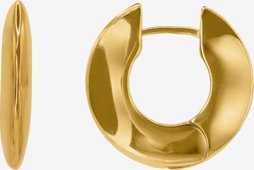 Heideman Earrings 'Frugi ' in Gold: front