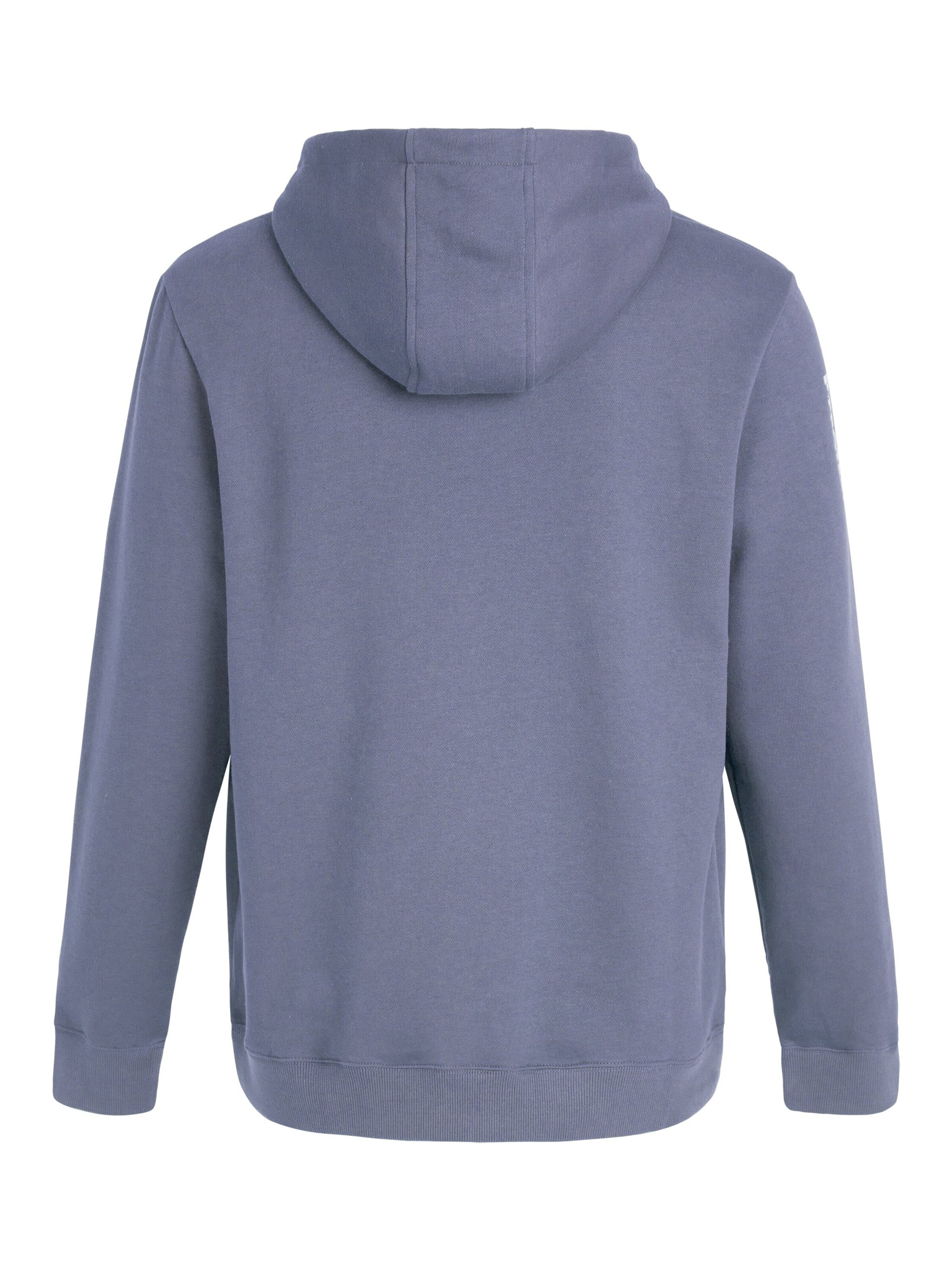 PROTEST Sweater 'CLASSIC LOGO HOODY' in Blue