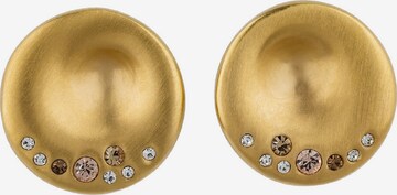 Breil Oorbellen in Goud: voorkant