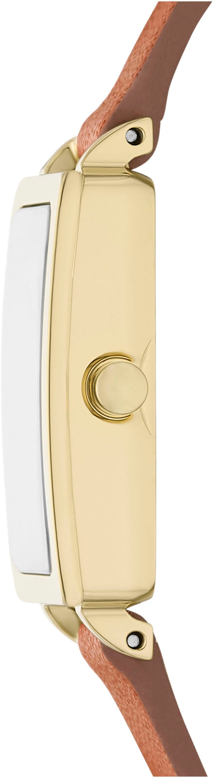 SKAGEN Analog Watch in Brown