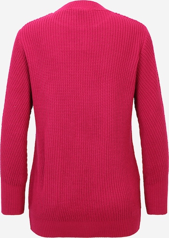 Envie de Fraise Sweater 'BASTIEN' in Pink