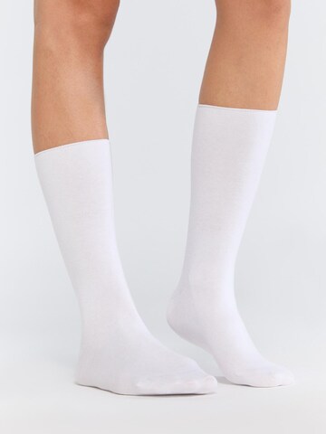 Albero Natur Socks 'Bio-Baumwoll-Socken mit Rollrand Unisex – 2er Pack' in White: front