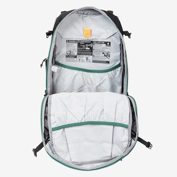 DEUTER Sports Backpack 'Trans Alpine 30' in Grey